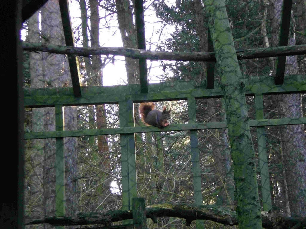 Weybourne Forest Lodges gallery 1