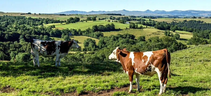 Camping Le Sauzet gallery 3