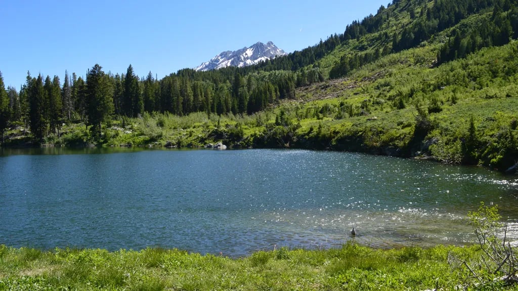 Trapper Lake Backcountry Camping