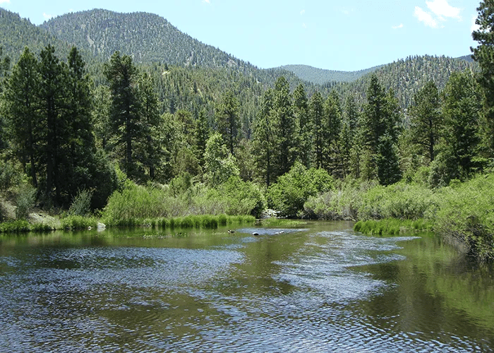 Tolby Campground — Cimarron Canyon State Park gallery 3