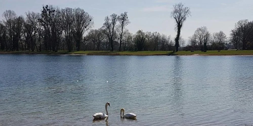 Rastatter Freizeitparadies gallery 2