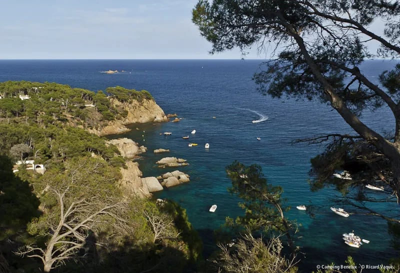 Camping Benelux gallery 1