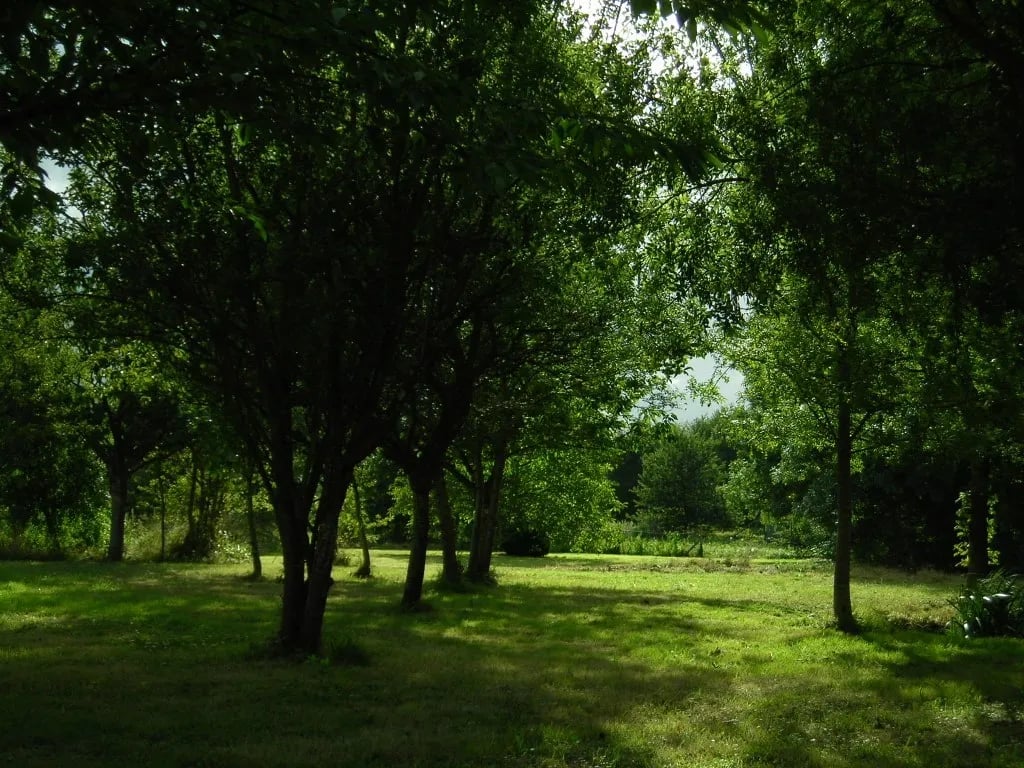 Le Moulin de St Blaise gallery 1