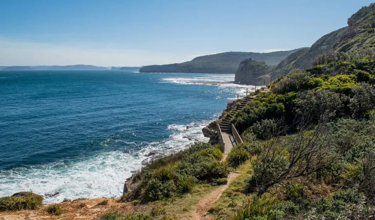 Tallow Beach campground gallery 1