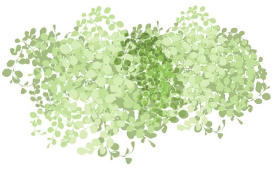 Camping Enzo Stella Maris gallery 3