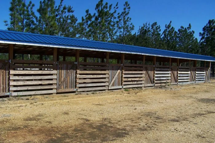 Lucky Loggers RV Park gallery 3