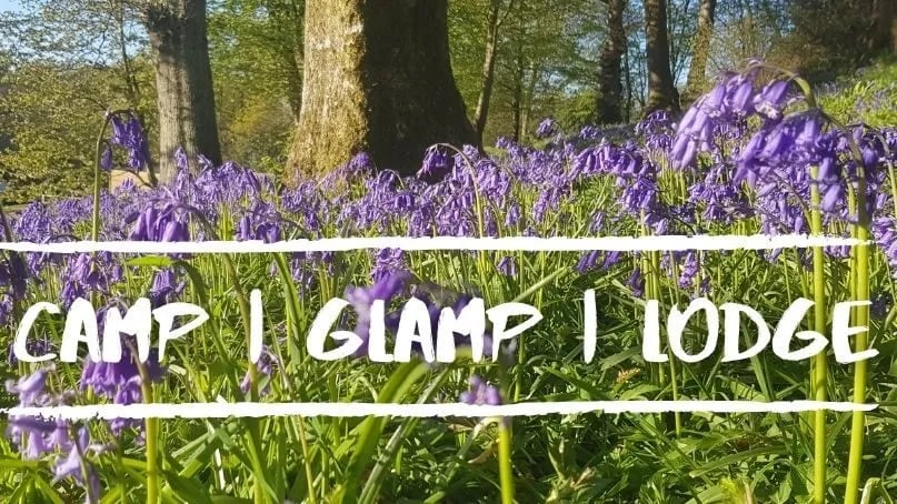 Bluebell Coppice Park gallery 2