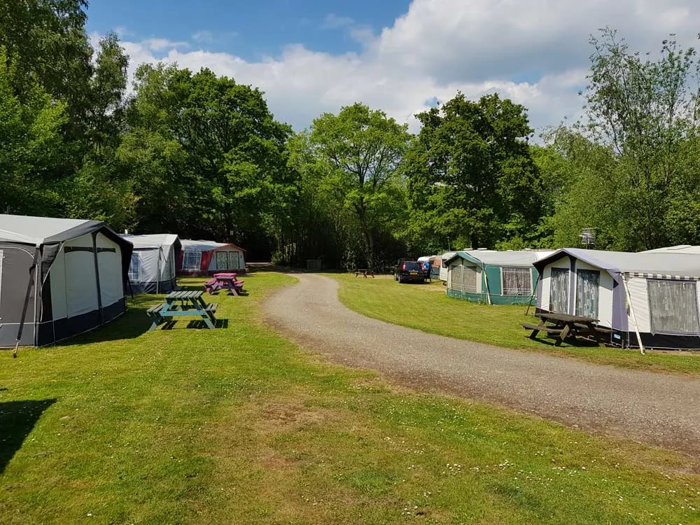 Senlac Wood Holiday Park gallery 3