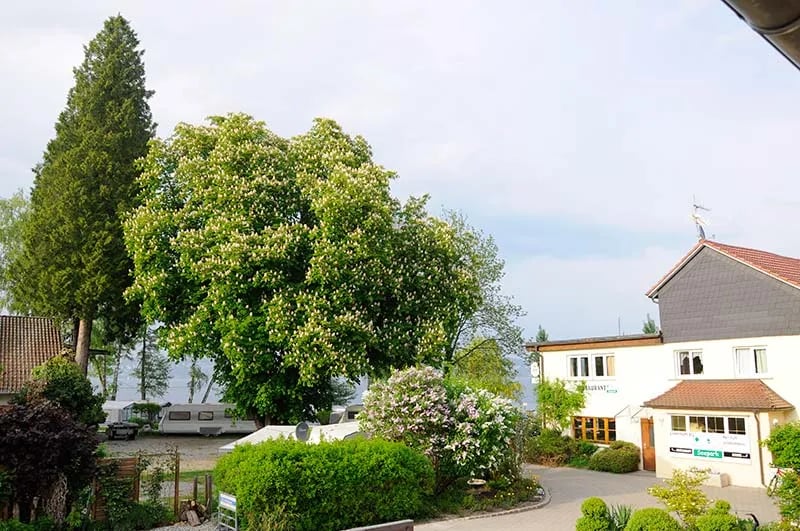 Camping Fliesshorn gallery 1