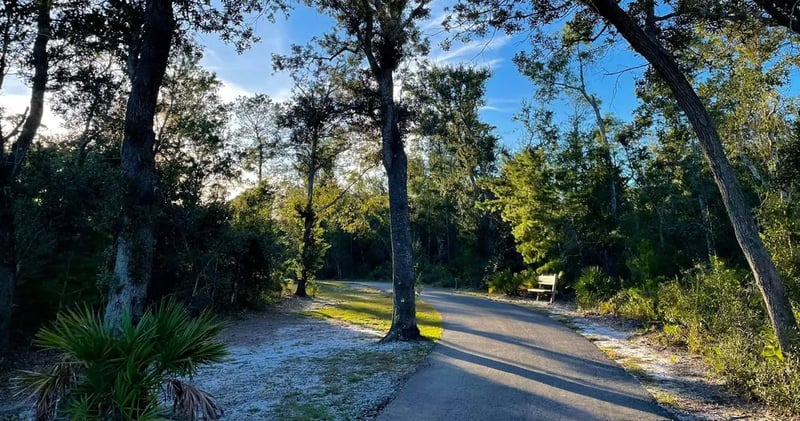 Gulf State Park Campground gallery 3