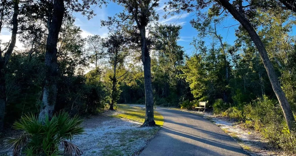 Gulf State Park Campground gallery 3