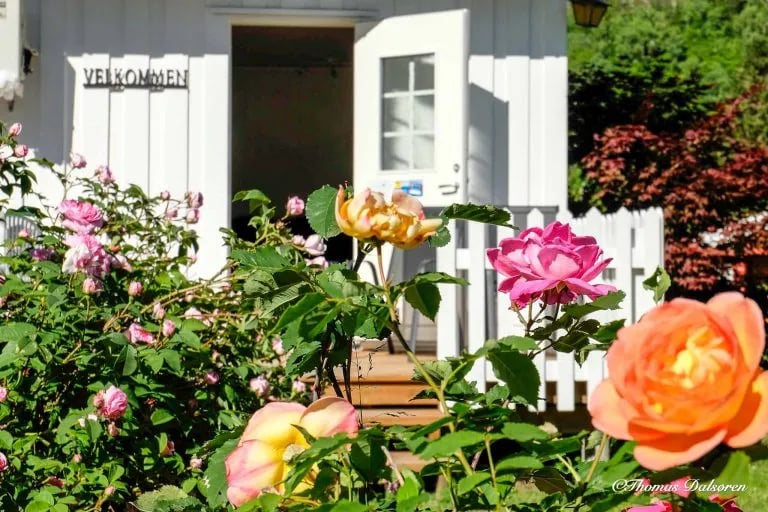 Dalsøren Camping gallery 3