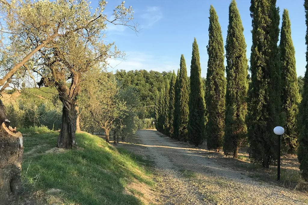 AGRICAMING POGGIO AI PINI