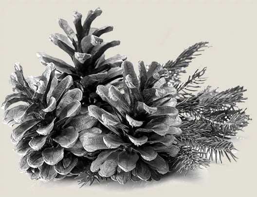 The Village at Highlands Ranch gallery 3