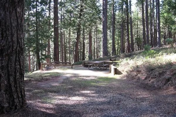 Jenkinson Campground—Sly Park Recreation Area gallery 2