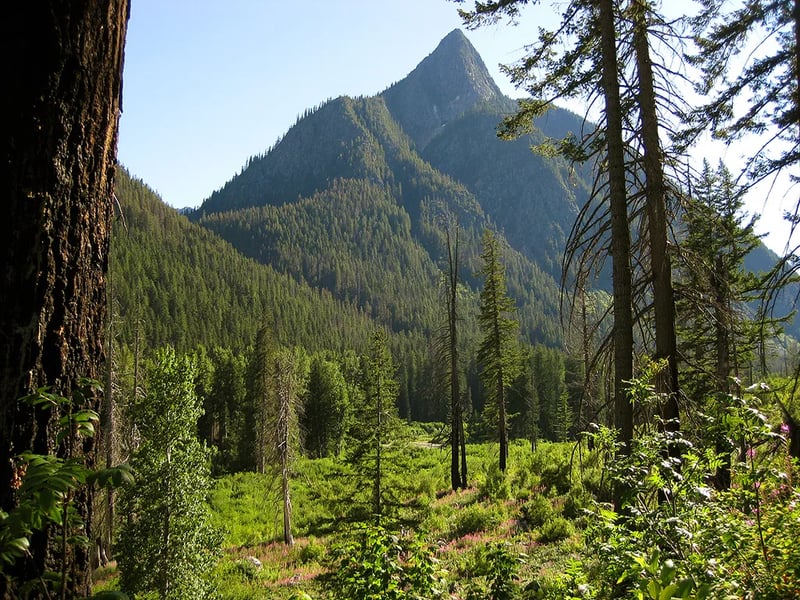 Flat Creek Campsite — North Cascades National Park