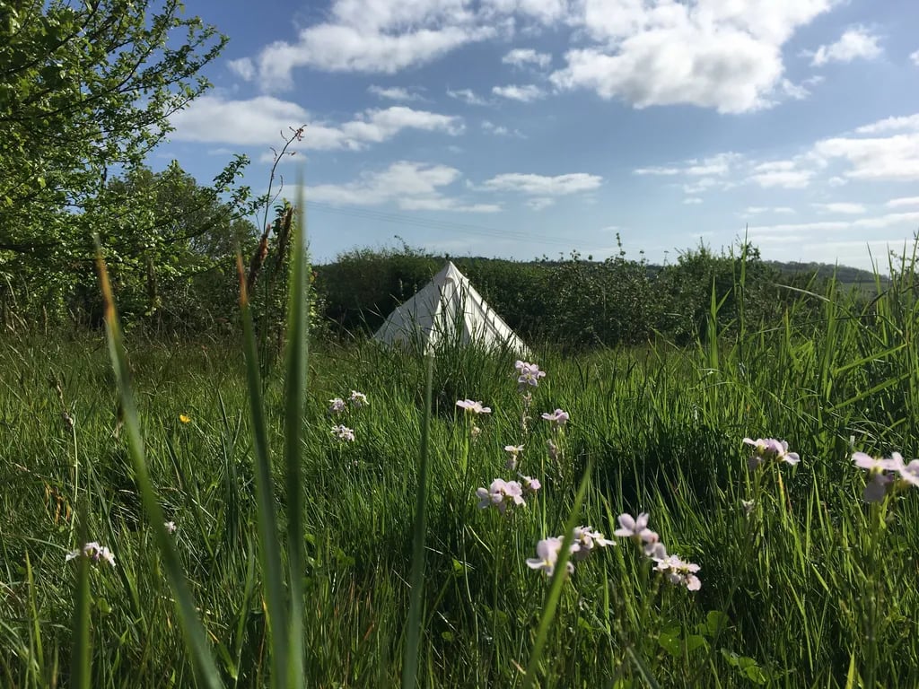 Brig’s Farm gallery 1