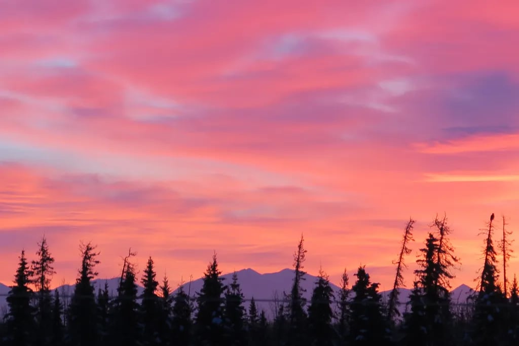 Kenai River – Cast Away Riverside gallery 2