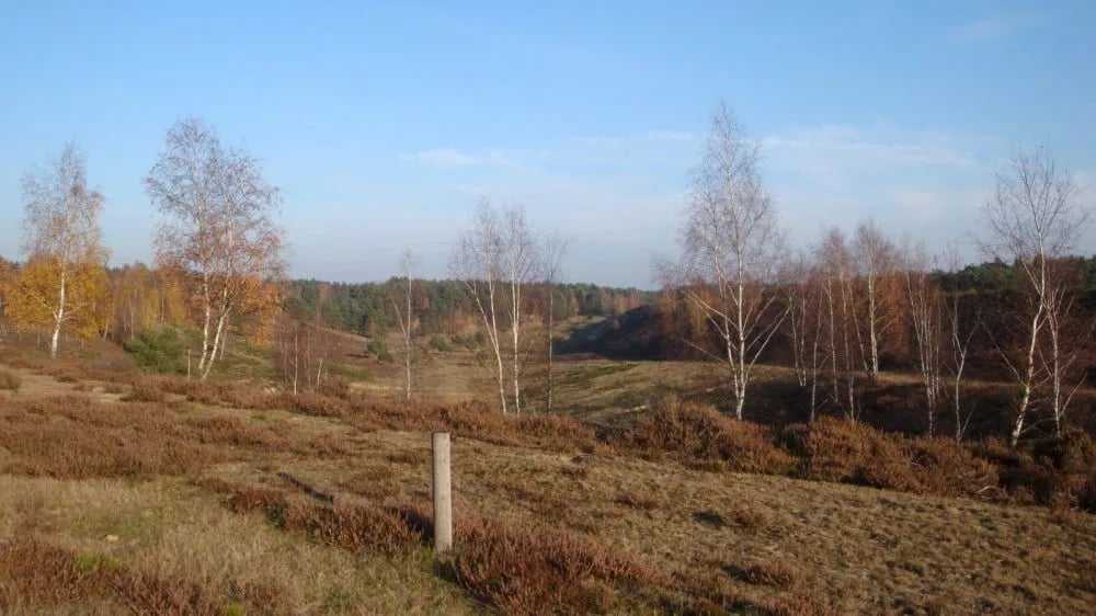 Camping Petrushoeve gallery 1