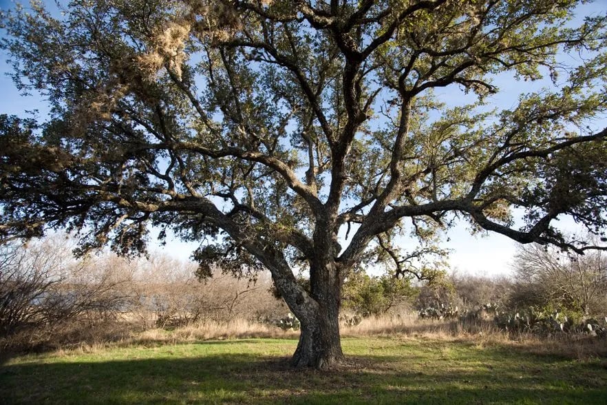 Matagorda Bay Nature and RV Park gallery 1