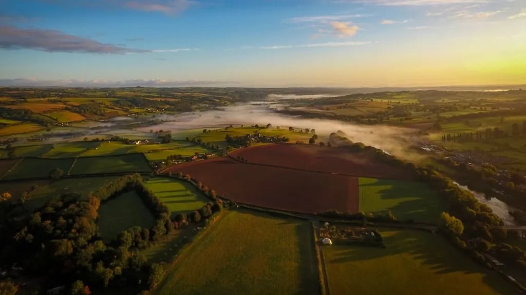 Racquety Farm gallery 3