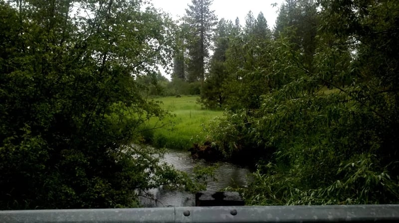 Dragoon Creek Campground gallery 1