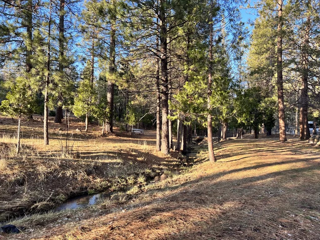 Trailer Lane Campground gallery 1