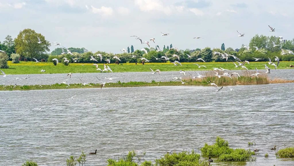 Molecaten Park De Leemkule gallery 3