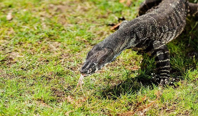 The Basin campground gallery 2