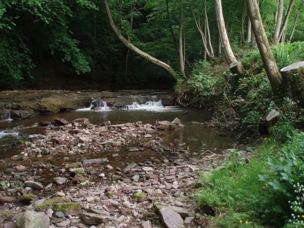 Priory Mill Farm gallery 3