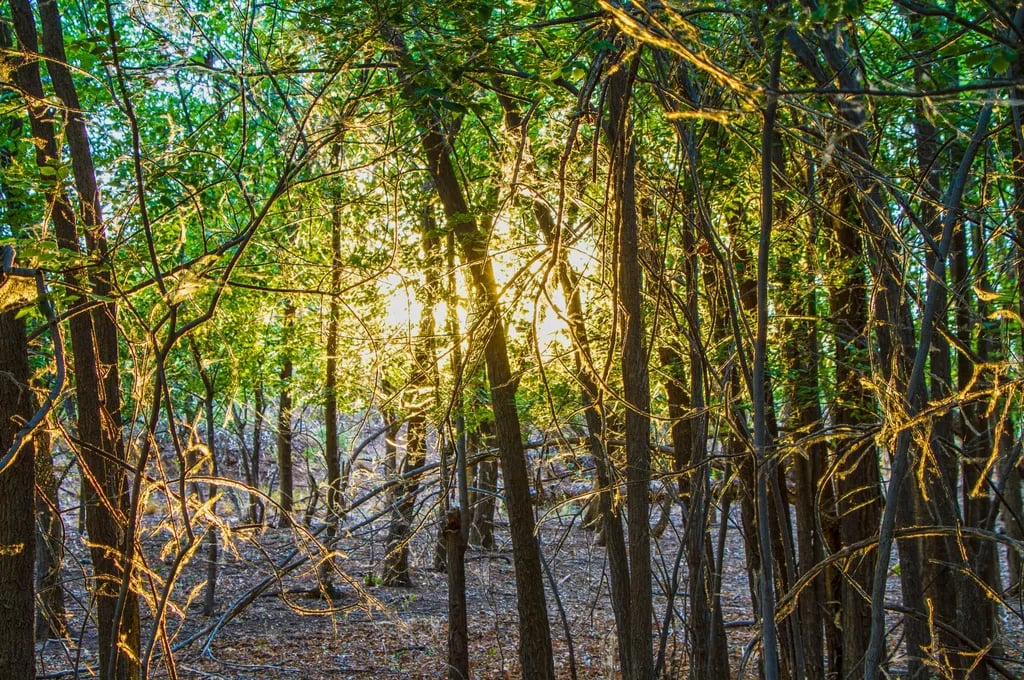 Percha Dam State Park Campground gallery 2