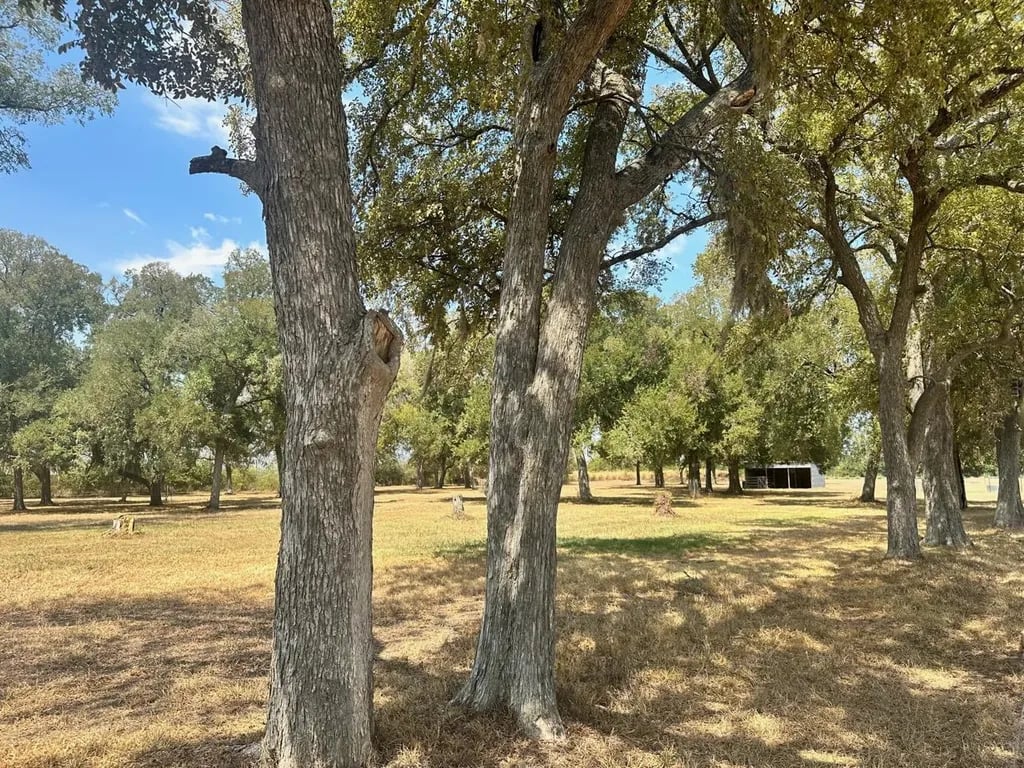 Shiloh RV Park gallery 2