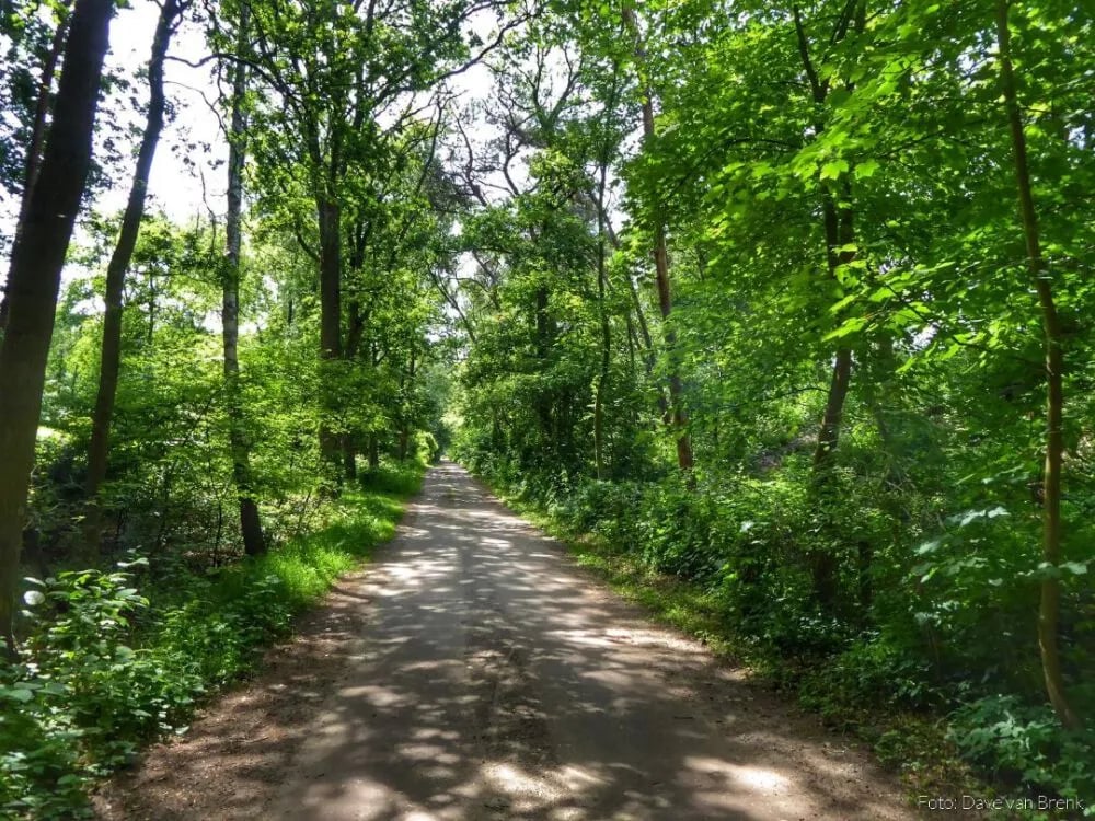 Vechtdalcamping Het Tolhuis