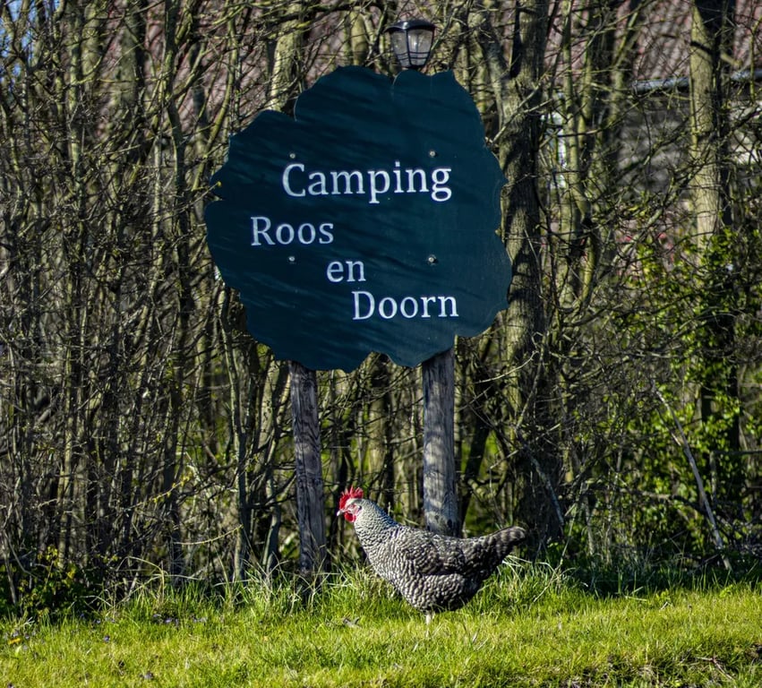 Camping Roos en Doorn