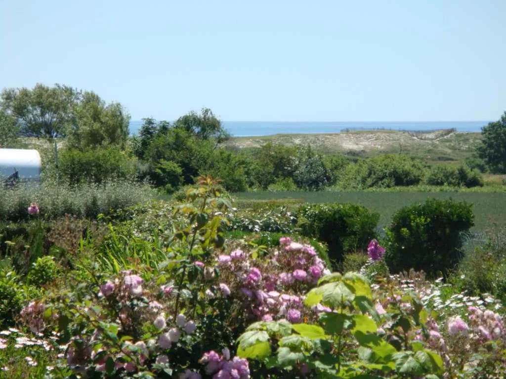 Camping Karreg Skividen gallery 1