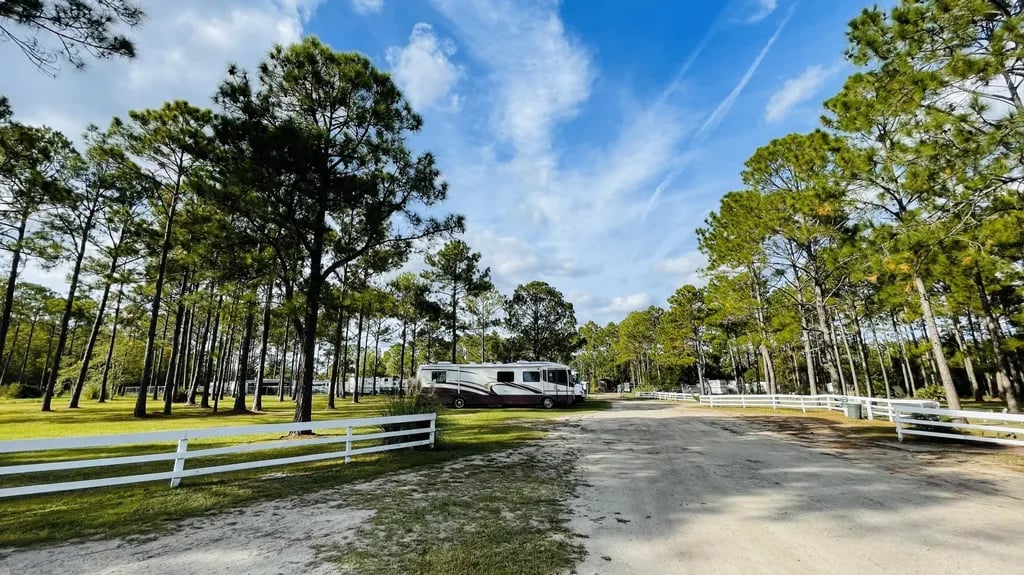 Palm Coast RV Park gallery 3