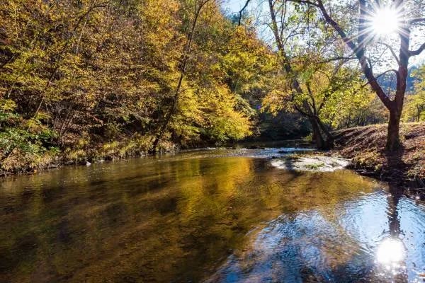 Pigeon Forge RV Resort gallery 2