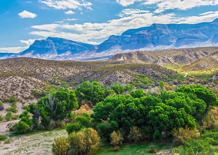 Stallion Campground — Caballo Lake State Park gallery 3