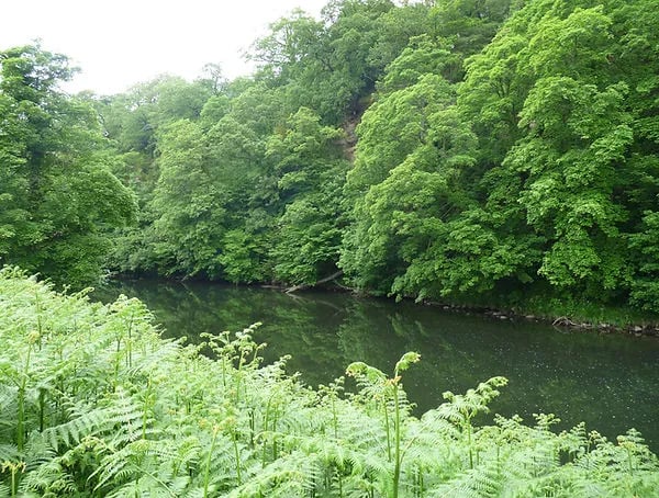 Finchale Abbey Caravan Park