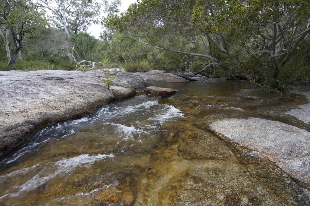 Davies Creek, Dinden National Park gallery 1