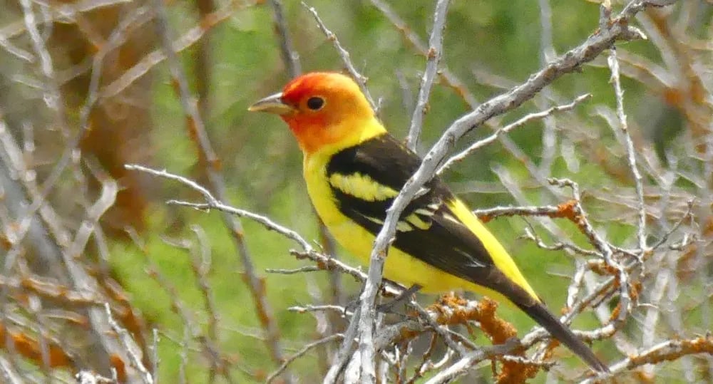 The Narrows RV Park gallery 3