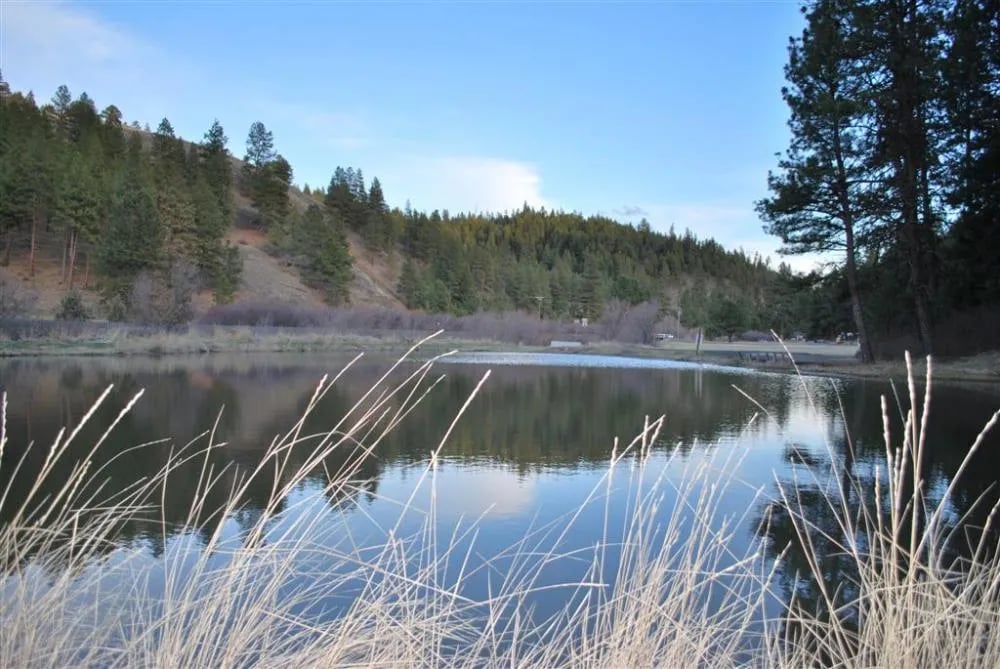 Mitchell City Park gallery 2