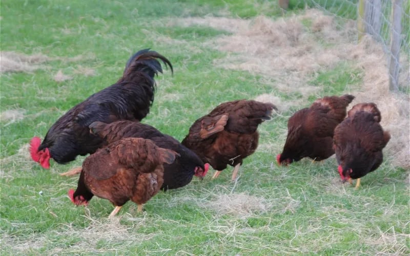 Ashe Farm Caravan and Campsite gallery 1