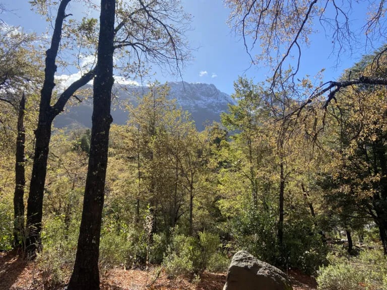 Camping Las Vertientes gallery 2