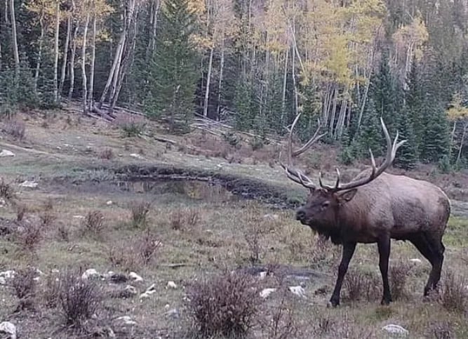 Rio Costilla Park gallery 2