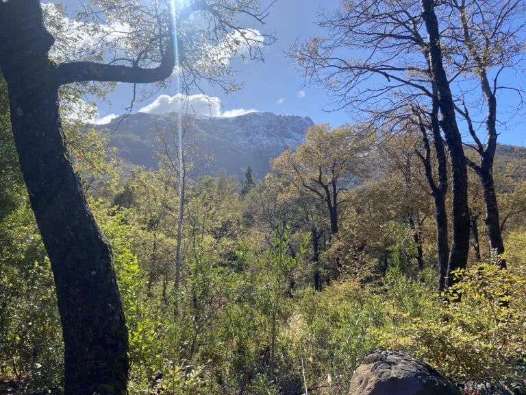 Camping Las Vertientes gallery 1