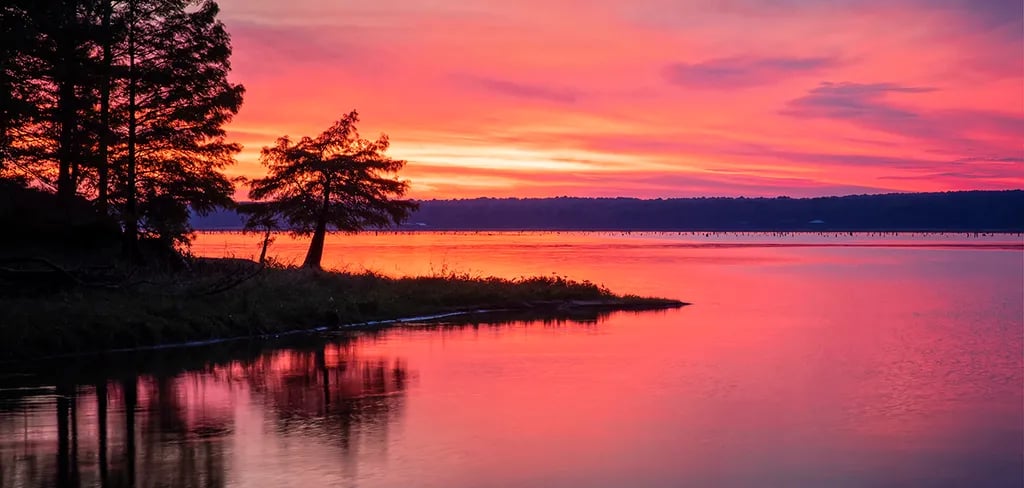 Wildwood Resort gallery 2