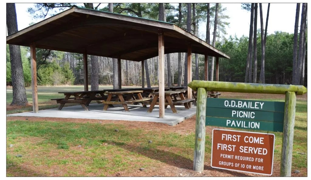 Redden State Forest Campground