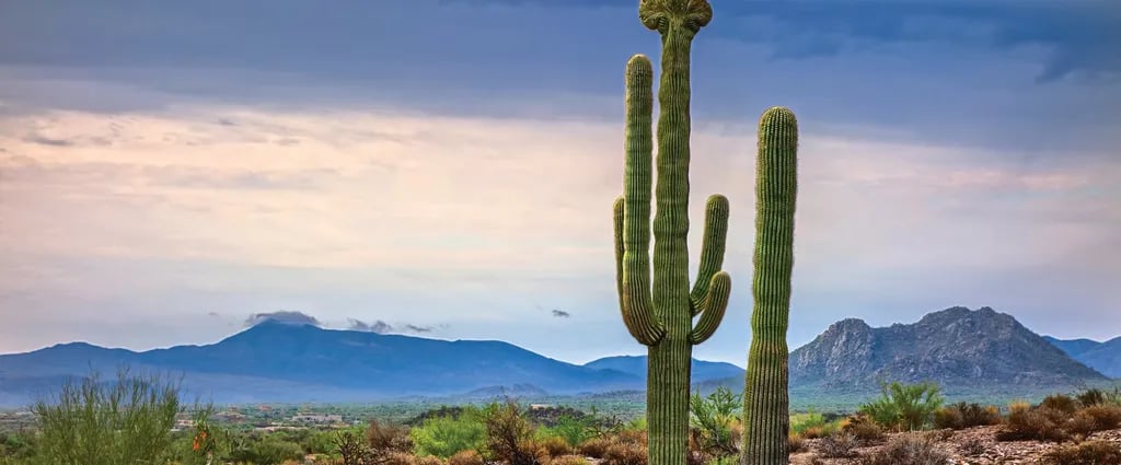 White Tank Mountain gallery 1