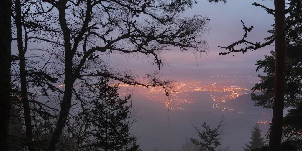 Camping Labaroche gallery 2